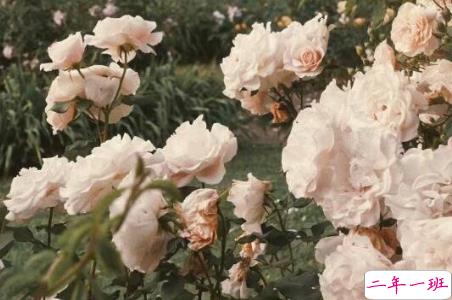 保持清醒和理性的说说 所有不合适的人最终总会分散5