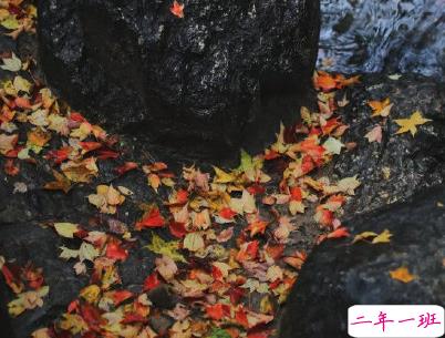 大寒微信朋友圈说说带图片 2020大寒节气说说经典4