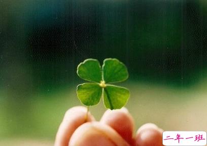 一个人的说说悲伤配图 世界太暗人心太黑爱情太傻13