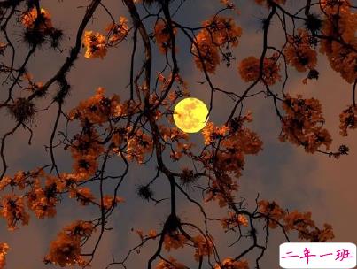 一个人的说说悲伤配图 世界太暗人心太黑爱情太傻14