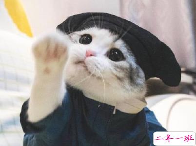 寒假假期文案大全 寒假微信朋友圈说说带图片14