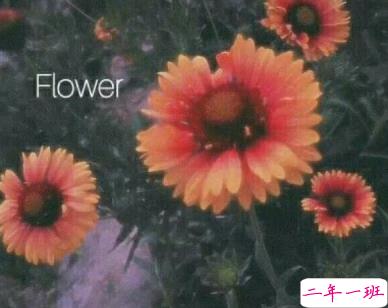 一句话伤心说说心情带图片 越想忘记越难忘记8