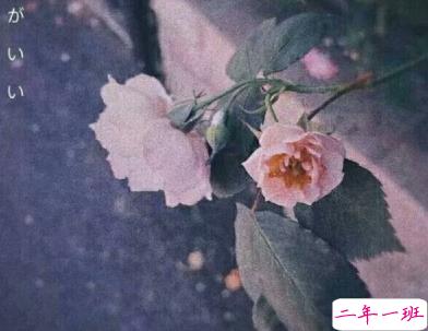 一句话伤心说说心情带图片 越想忘记越难忘记10