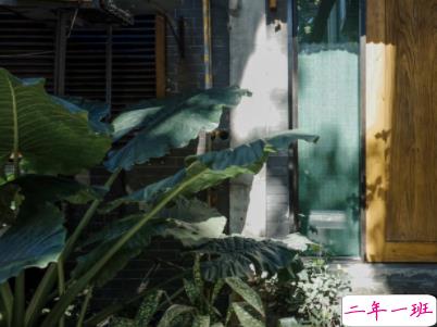 最伤感的晚安句子精选配图 有点忧伤的简单说说4