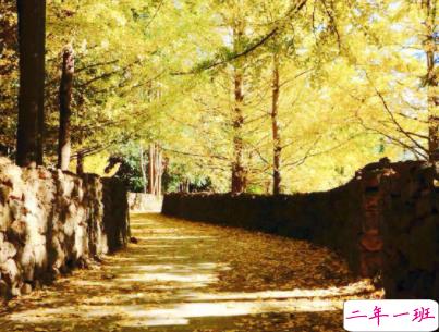 心情不好的说说失望放弃 心已死的伤感说说带图片7