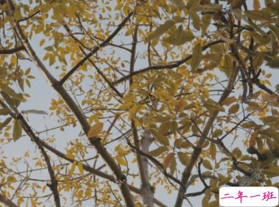 心情不好的说说失望放弃 心已死的伤感说说带图片11