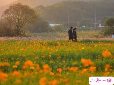 女生可爱朋友圈说说带图片 小仙女专属可爱呆萌说说2