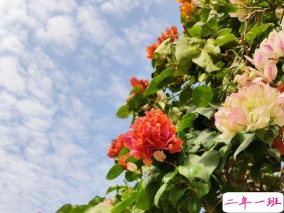 外面大风的句子说说带图片 风太大的心情短语发朋友圈2