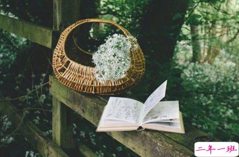 女生委屈到死的扎心句子说说带图片 何必把好感放大成喜欢2