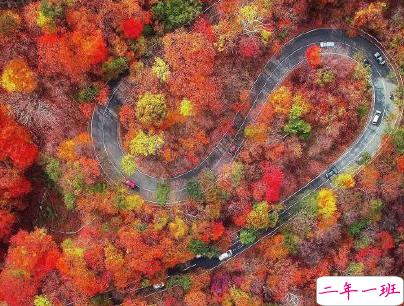 外面大风的句子说说带图片 风太大的心情短语发朋友圈6