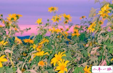 女生委屈到死的扎心句子说说带图片 何必把好感放大成喜欢9