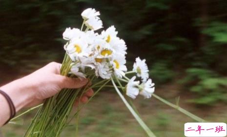 女生委屈到死的扎心句子说说带图片 何必把好感放大成喜欢15