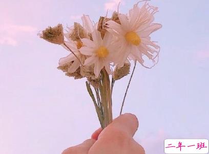 早安调皮句子带图片 女生朋友圈可爱早安心语7