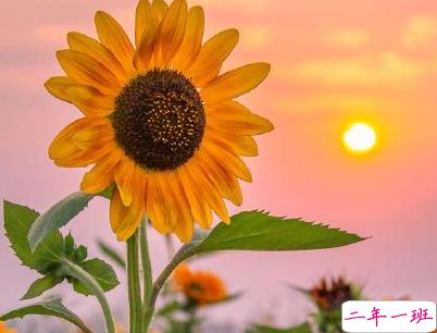 早安调皮句子带图片 女生朋友圈可爱早安心语13