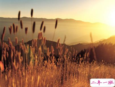 夜深人静一个人的悲伤说说配图 放手舍不得坚持又太累2