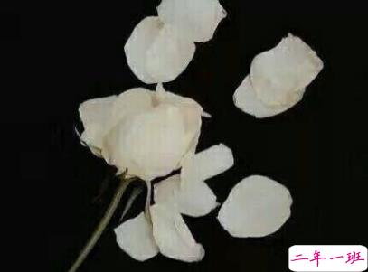 女生qq伤感说说配图 相遇之后是离别与错过5