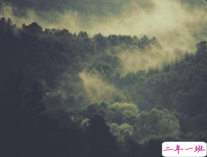 夜深人静一个人的悲伤说说配图 放手舍不得坚持又太累4