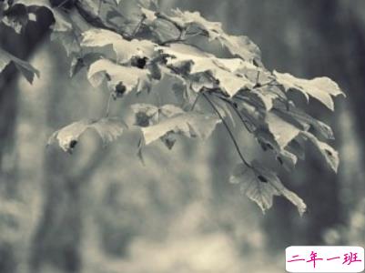 夜深人静一个人的悲伤说说配图 放手舍不得坚持又太累7