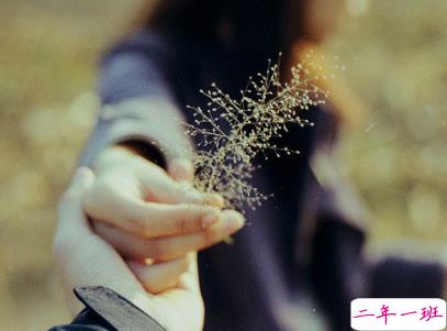 夜深人静一个人的悲伤说说配图 放手舍不得坚持又太累9