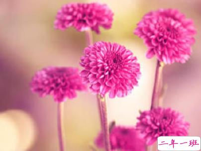 夜深人静一个人的悲伤说说配图 放手舍不得坚持又太累10