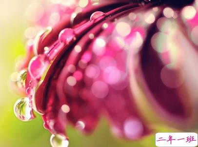 夜深人静一个人的悲伤说说配图 放手舍不得坚持又太累13