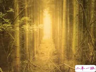 夜深人静一个人的悲伤说说配图 放手舍不得坚持又太累14