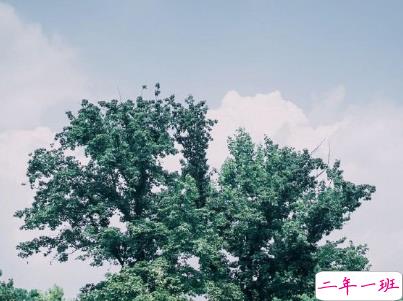 太阳好大好热的说说 太阳毒辣的微信说说配图1