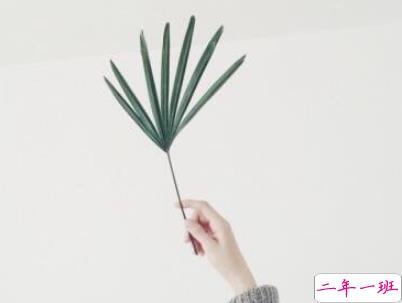 绝望到死的女生说说带图片 最令人心累的话语2