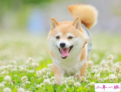 太阳好大好热的说说 太阳毒辣的微信说说配图8