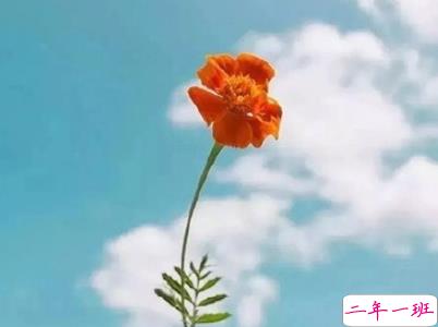 绝望到死的女生说说带图片 最令人心累的话语7