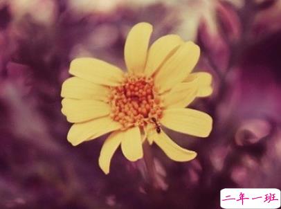 绝望到死的女生说说带图片 最令人心累的话语8