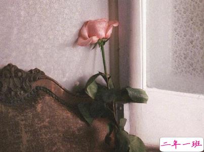 人心凉了的伤感说说带图片 水凉了可以喝心凉了连呼吸都痛7