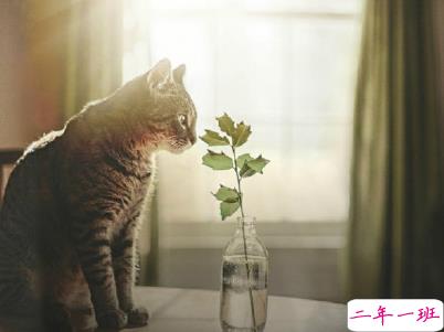 人心凉了的伤感说说带图片 水凉了可以喝心凉了连呼吸都痛8