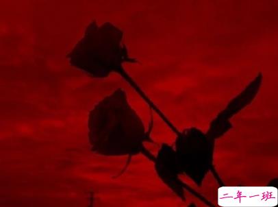 绝望到死的女生说说带图片 最令人心累的话语13