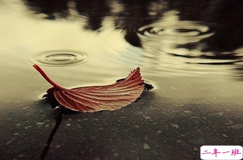 2019下雨天伤感心情说说带图片 忍不住伤心流泪的说说合集4