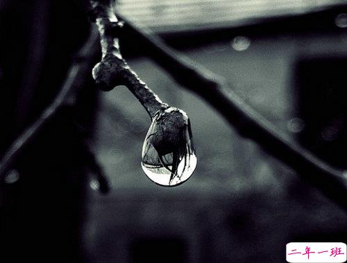 2019下雨天伤感心情说说带图片 忍不住伤心流泪的说说合集15