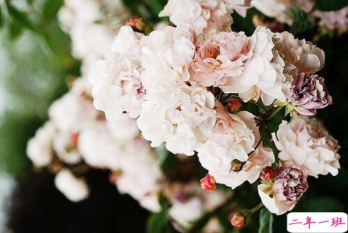 2019心里难受的说说带图片 一丝丝难过的朋友圈说说2