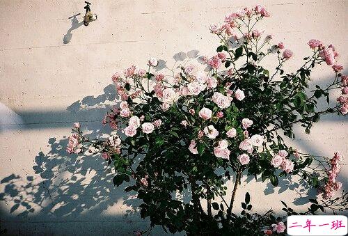 2019心里难受的说说带图片 一丝丝难过的朋友圈说说7