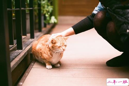 2019心里难受的说说带图片 一丝丝难过的朋友圈说说11