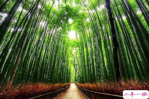 选择放弃的伤感爱情说说带图片 描述对爱情感到无奈的说说8