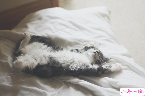 伤感心痛的说说带图片 一颗心已经破碎的伤感说说9