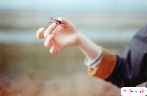 刺痛内心的伤感说说带图片 2019最新失落伤感的句子合集4