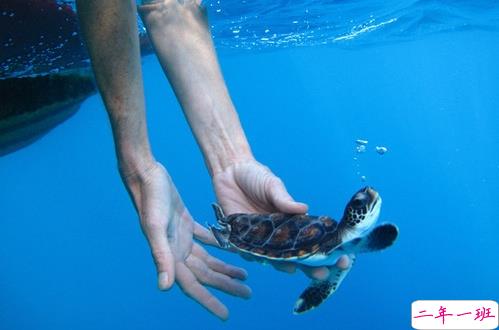 刺痛内心的伤感说说带图片 2019最新失落伤感的句子合集12