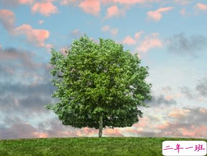 2019植树节微信说说带图片 适合植树节发的的心情说说短语4