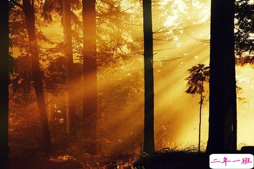 女生跟男朋友撒娇的说说带图片 女生写给男生的可爱情话5