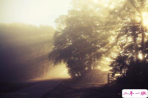 女生跟男朋友撒娇的说说带图片 女生写给男生的可爱情话6