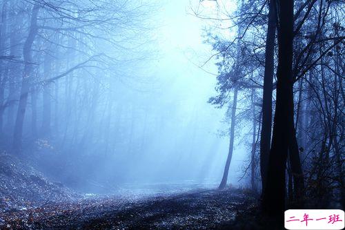 女生跟男朋友撒娇的说说带图片 女生写给男生的可爱情话8