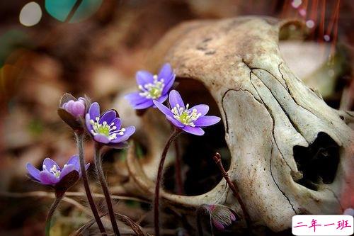 女生跟男朋友撒娇的说说带图片 女生写给男生的可爱情话9