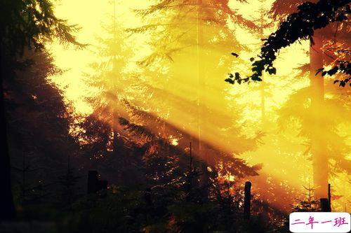 女生跟男朋友撒娇的说说带图片 女生写给男生的可爱情话10