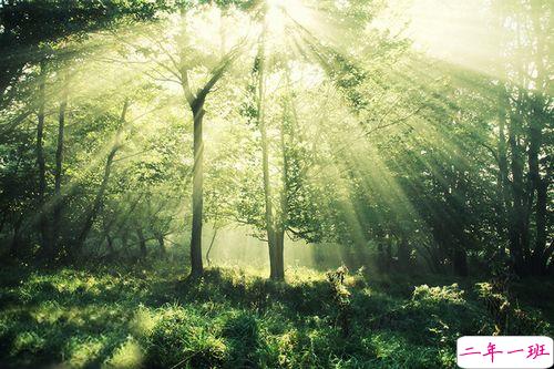 女生跟男朋友撒娇的说说带图片 女生写给男生的可爱情话12